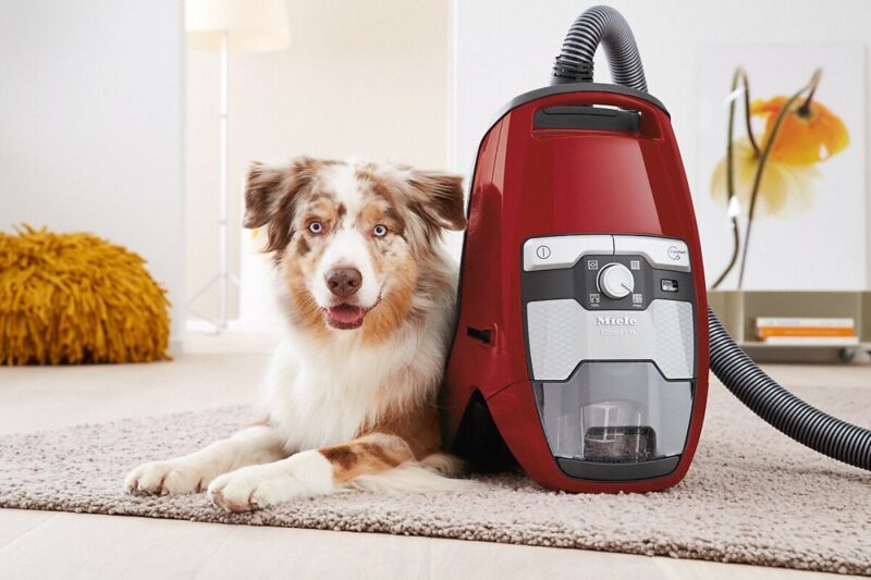 Miele Blizzard Cx1 Cat & Dog Mango Kırmızısı - Görsel 6